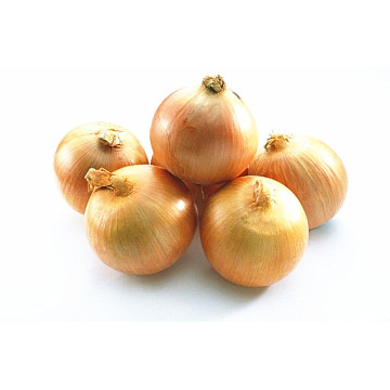 4-6cm Hot Sale Fresh Yellow Onion